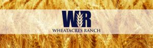 Wheatacres Ranch - Wasco, Oregon